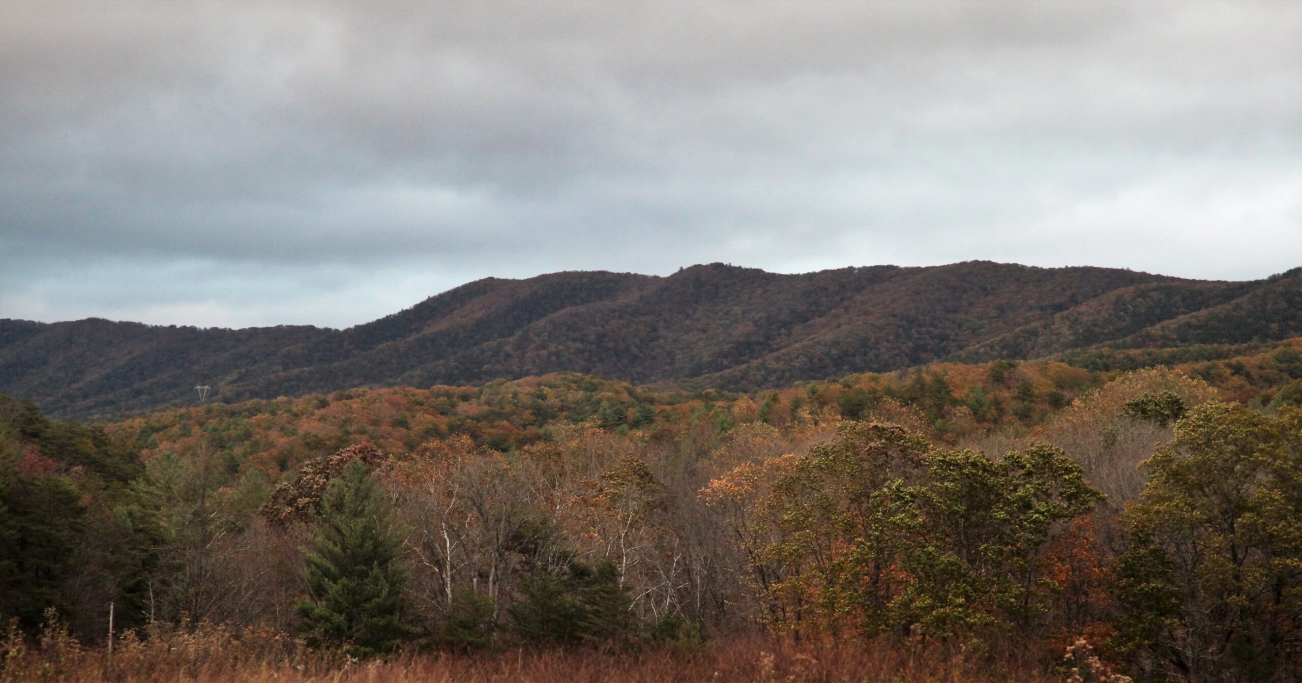 Brush Mountain Wilderness 1