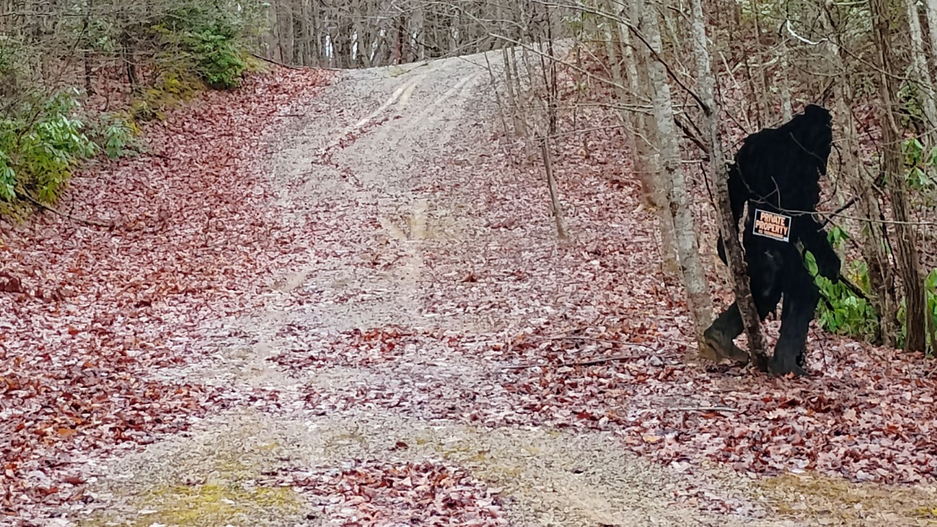 bmf_slide2_01 Beautiful Landscape