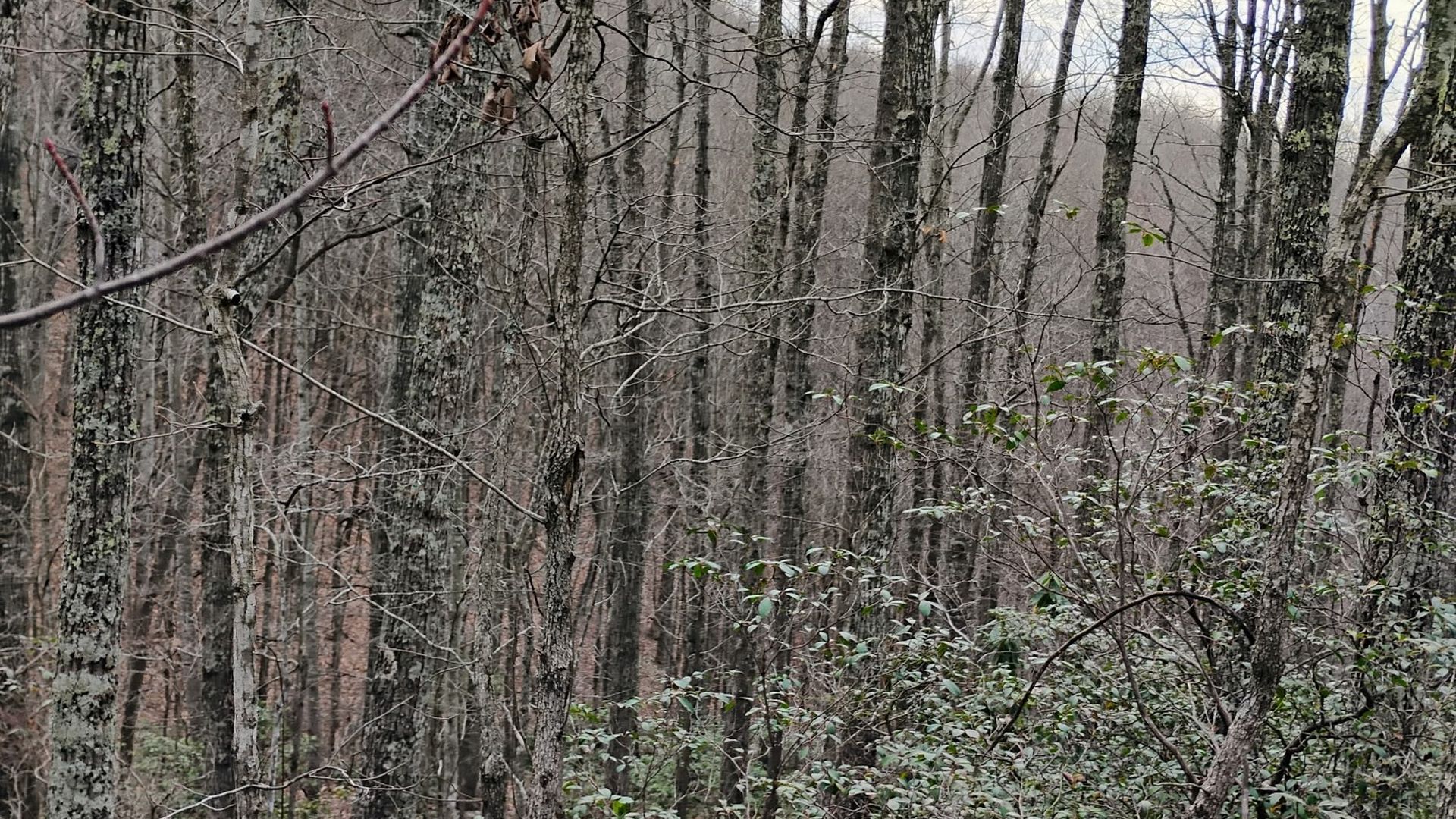 bmf_slide2_05 Beautiful Landscape